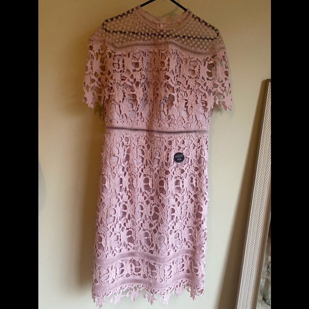 Blush Pink A-Line Lace Dress